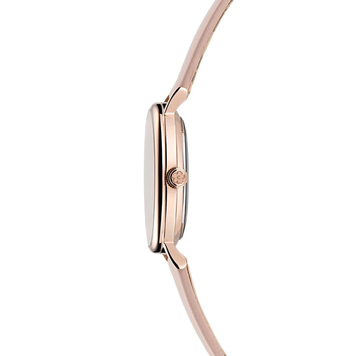 Ted Baker Zenski Sat TBBKPPHF307 3